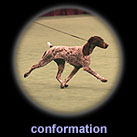 conformation