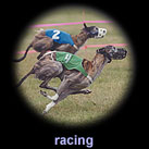 racing