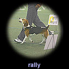 rally